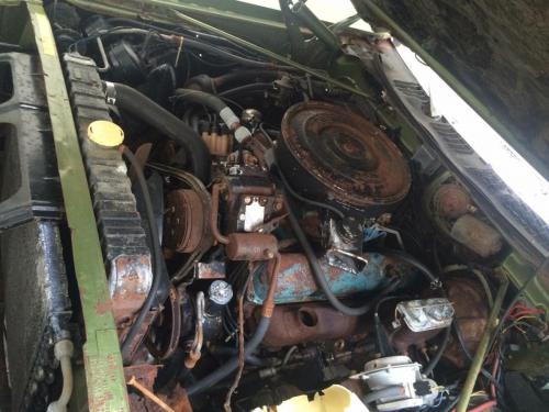 Tom  Country 1970 Motor 440 09